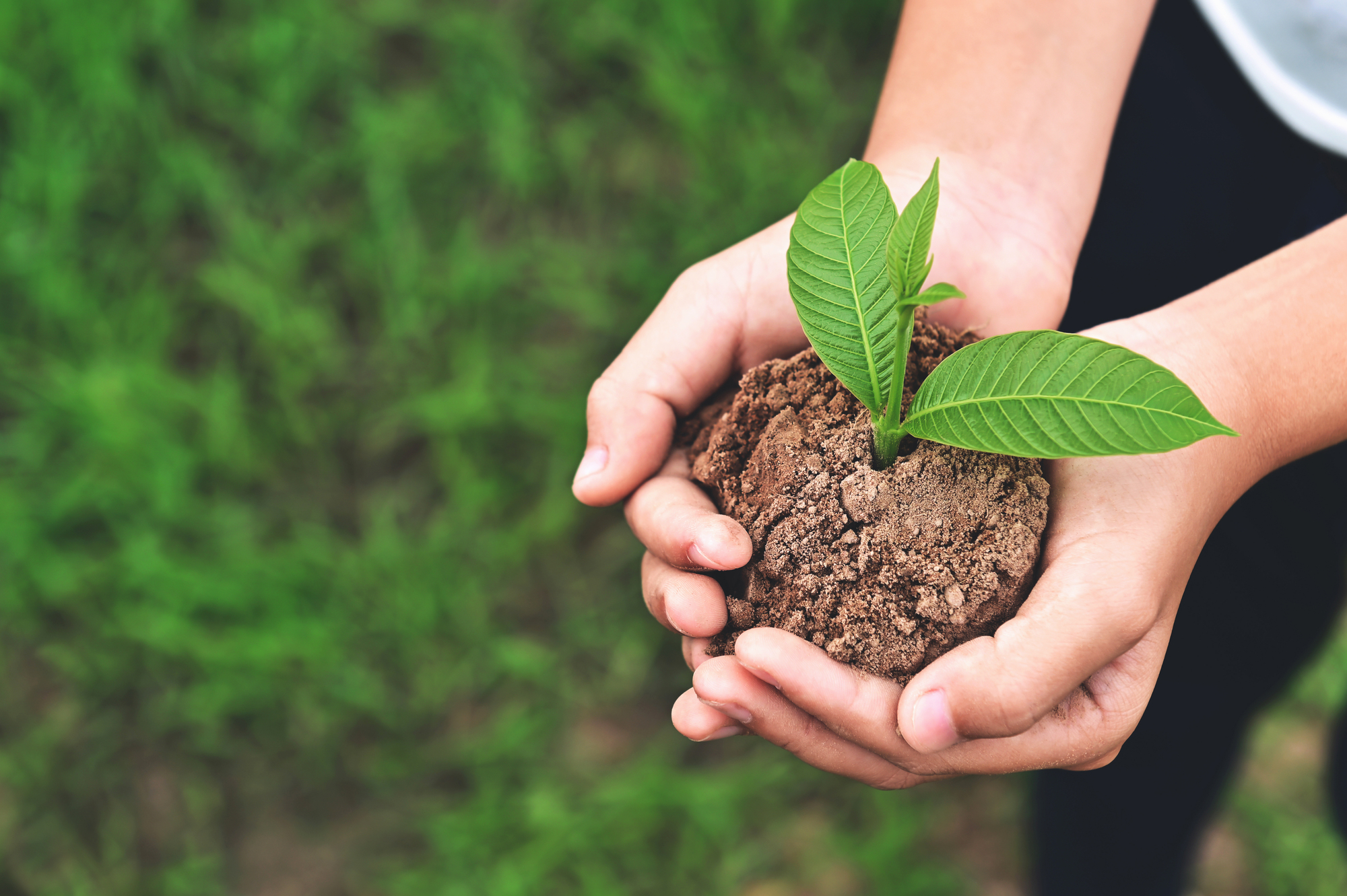 Environmentally Friendly aspects of DDAC-2280?